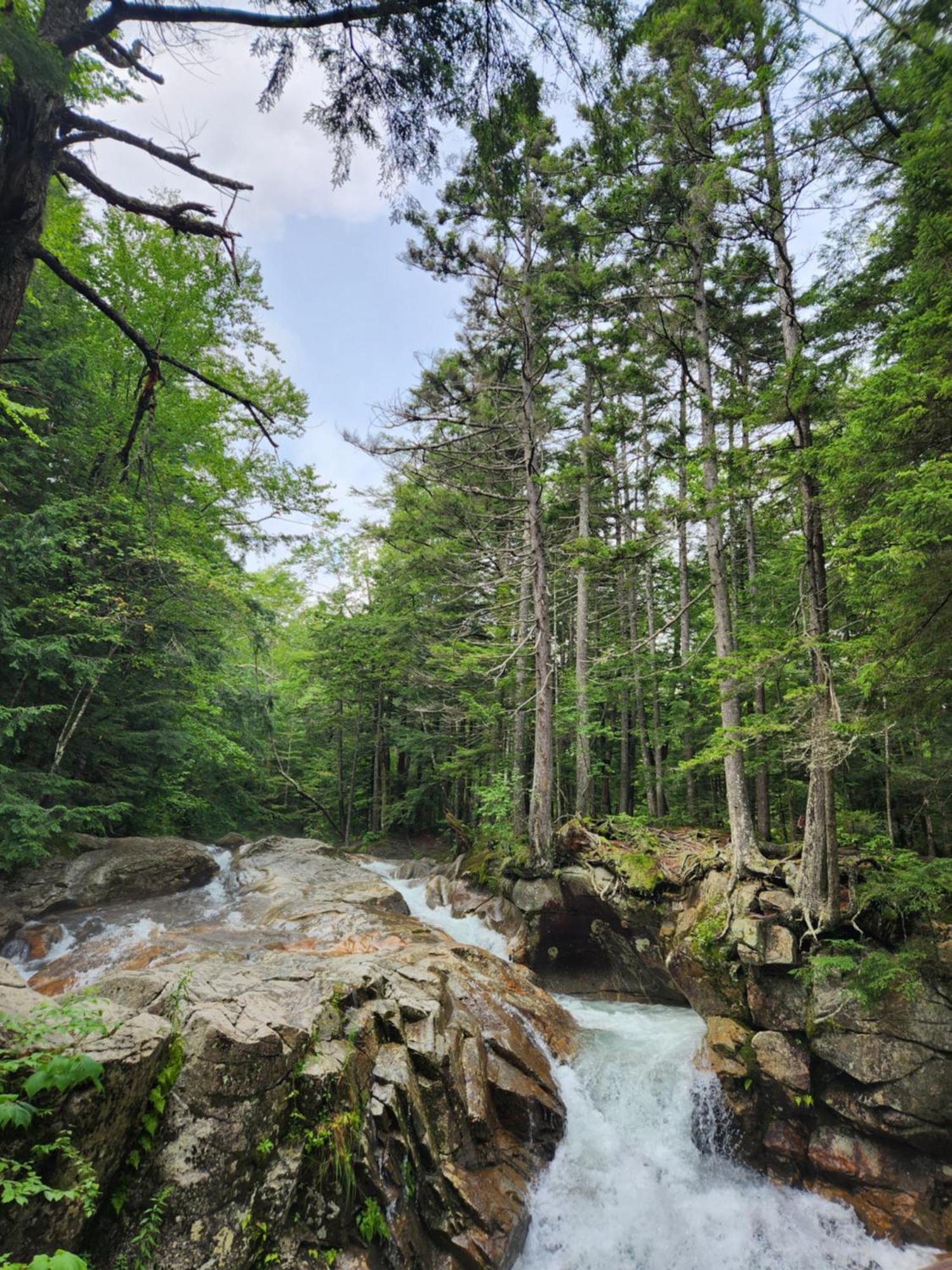 Villa Backyard Bliss In The White Mountains Lincoln Exterior foto